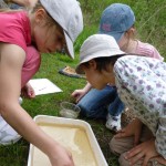 Pond Dipping 1