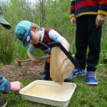 Pond Dipping 2