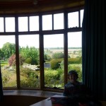 View from bedroom window of garden.