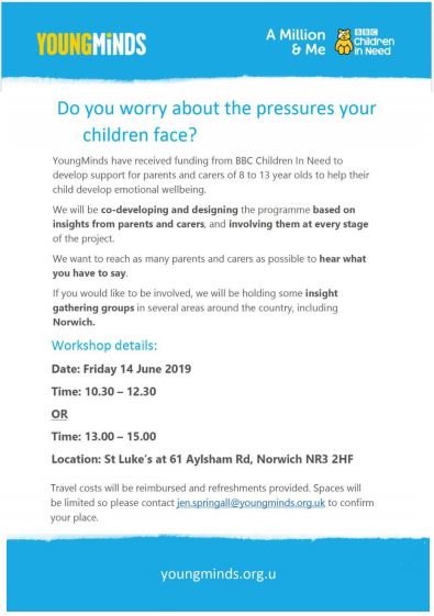 Young Minds Workshop Flyer June 2019